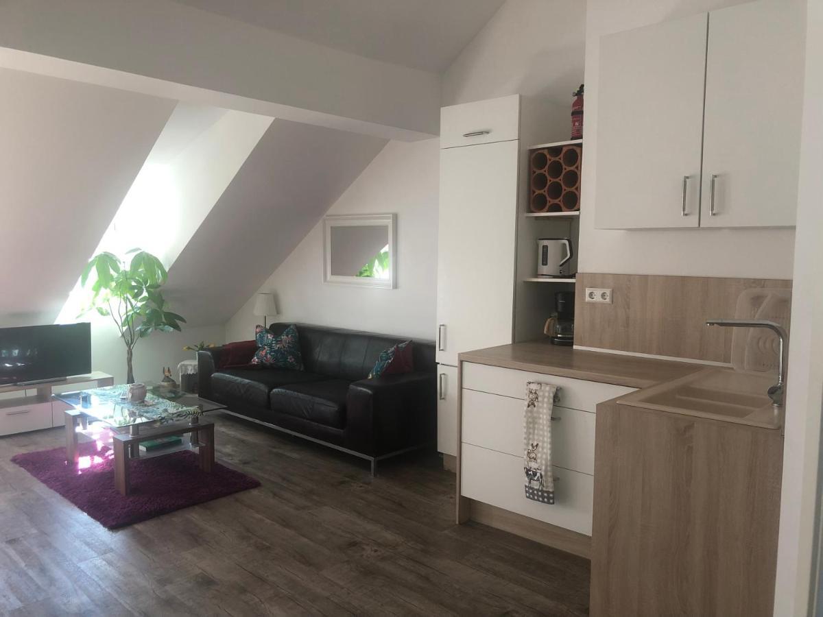 Old Bridge View Apartment 海德堡 外观 照片