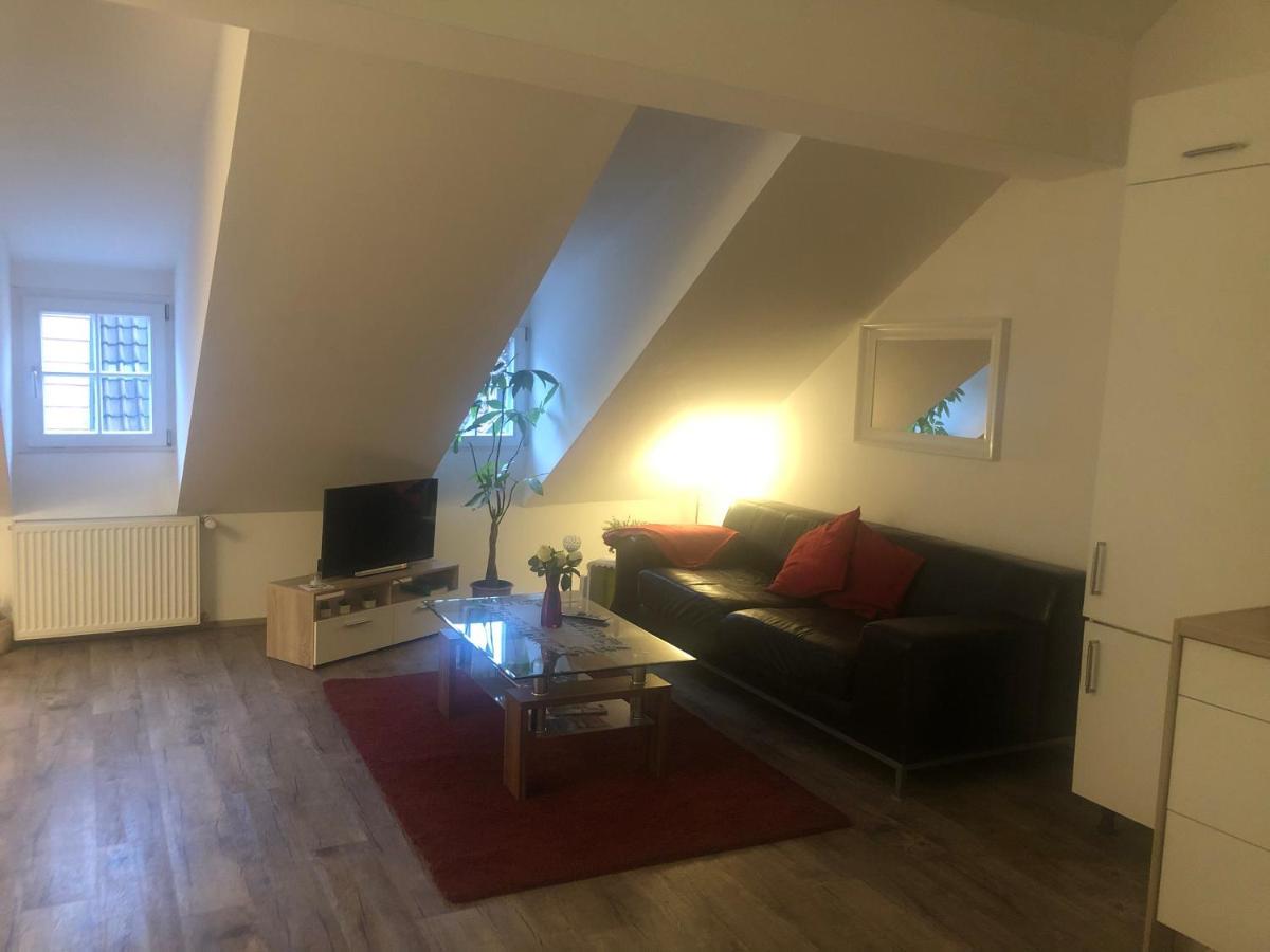 Old Bridge View Apartment 海德堡 外观 照片